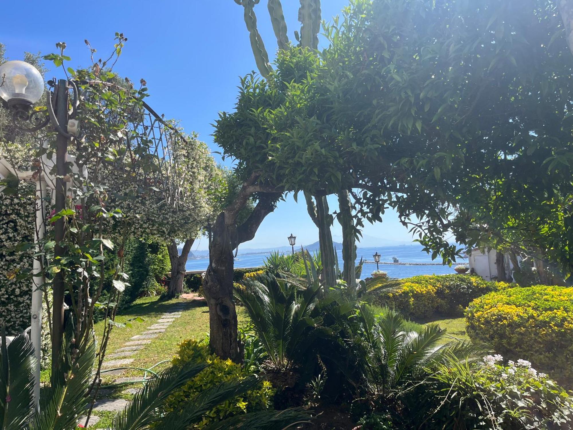 Summer Paradise Procida Exterior photo